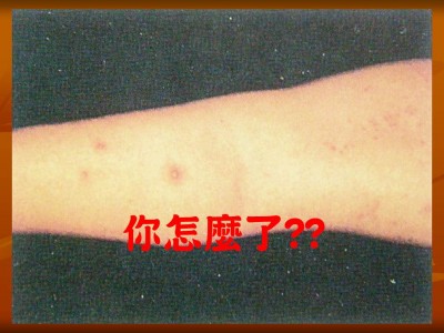 投影片19.JPG