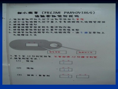 投影片76.JPG
