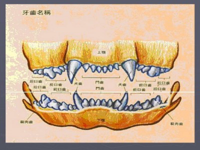 投影片84.JPG