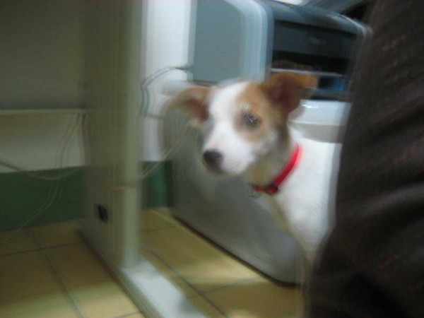 愛偷看