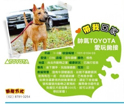 Toyota.jpg