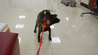 DSCN0640.JPG