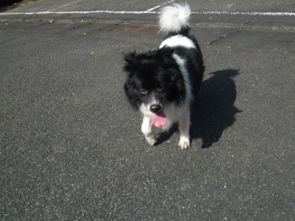 DSCF95101.JPG