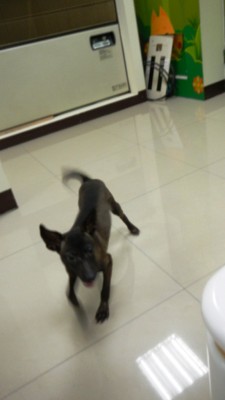 DSCN0713.JPG