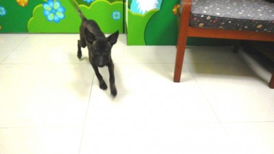 DSCN0722.JPG