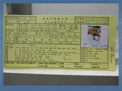 投影片11.JPG