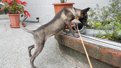 DSCN0820.JPG