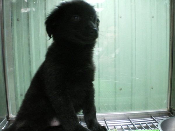 IMGP0033.JPG