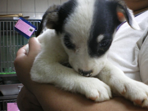IMGP0013.JPG