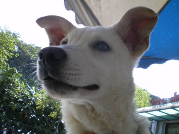 IMGP0097.JPG