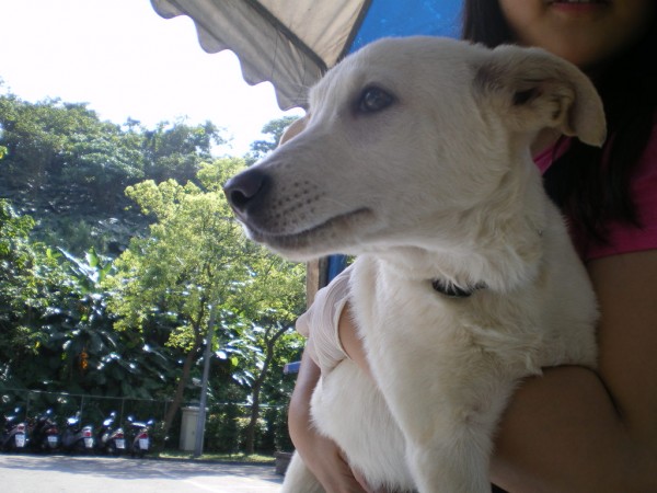 IMGP0098.JPG