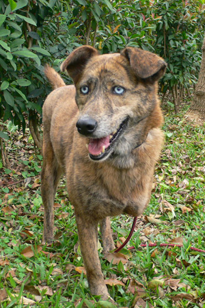 美女圖