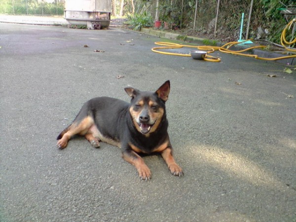 P130209_14.13[02].jpg