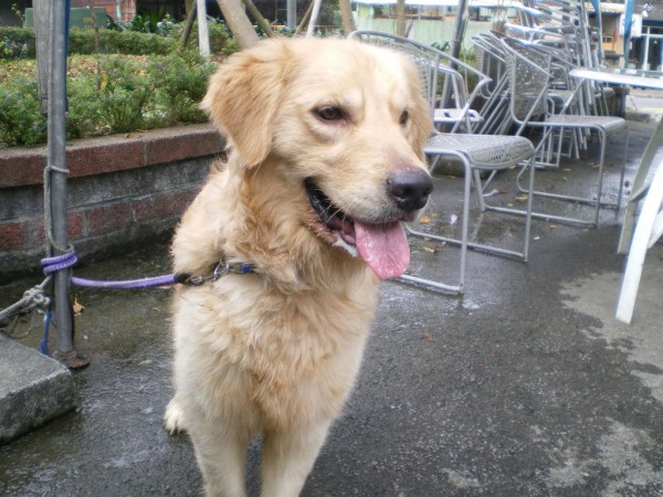 IMGP0129.JPG