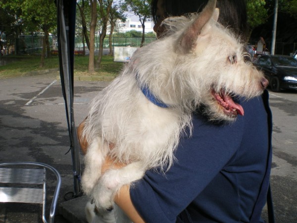 IMGP0137.JPG
