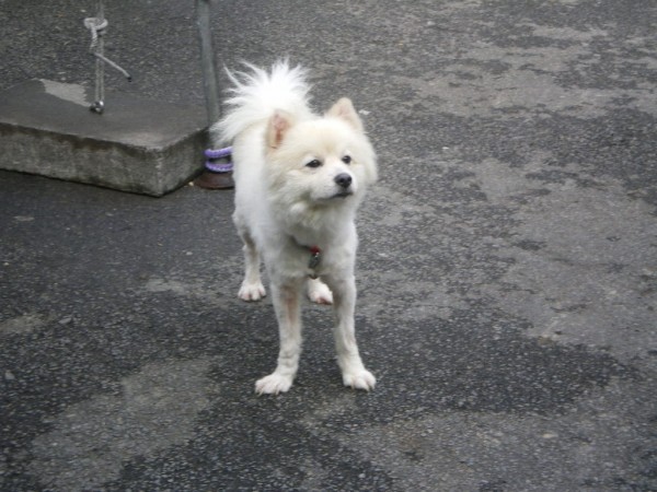 IMGP0163.JPG