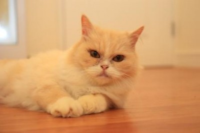 IMG_7388.1.jpg