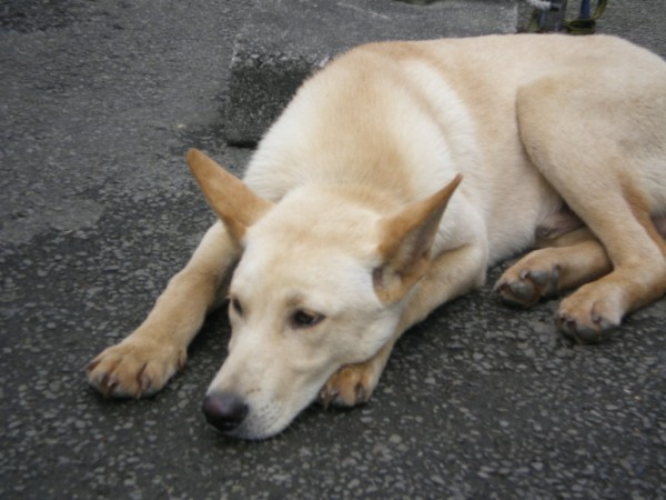 IMGP0173.JPG