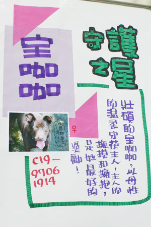 喵喵嗚的愛心手製海報唷！