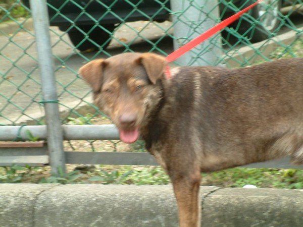 tn_DSCF0057.JPG