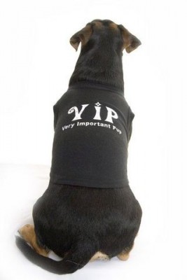 VIP-Dog-TShirt.jpg