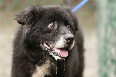 1394121951-4022511697_n[1].jpg