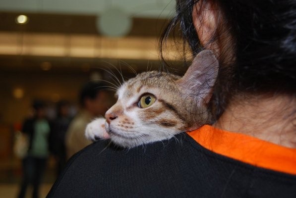 無奈地趴在怪阿姨肩上