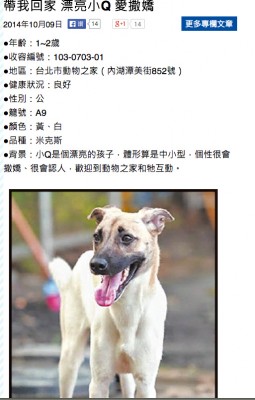 螢幕快照 2014-10-13 上午11.20.17.jpg