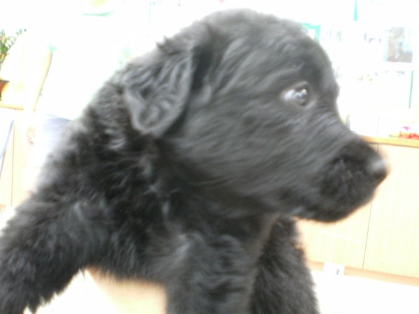 IMGP0355.JPG