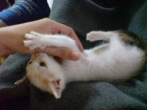 ap_F23_20090419093059244.jpg