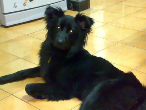 20090423.jpg
