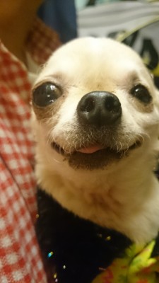 DSC_2655.JPG