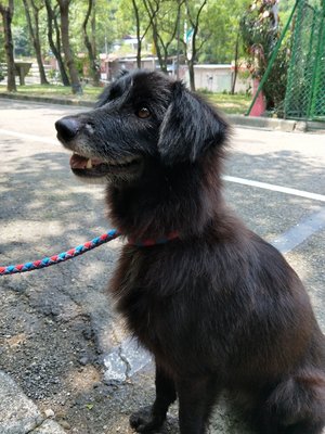 恢復正常走路好開心也越來越漂亮