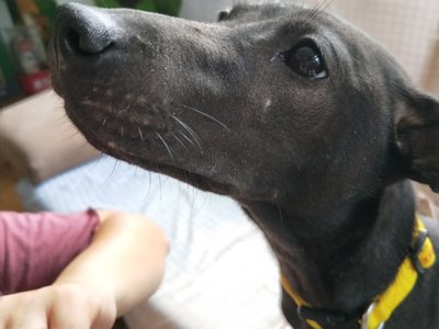 IMG20180517131609.jpg