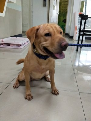 IMG20180916141117.jpg