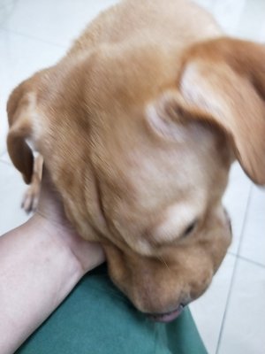 IMG20180916141123.jpg