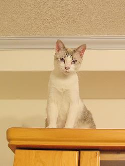 DSCN1511.jpg