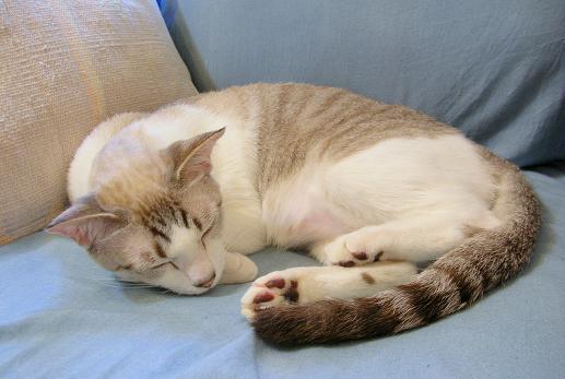 DSCN1353.jpg