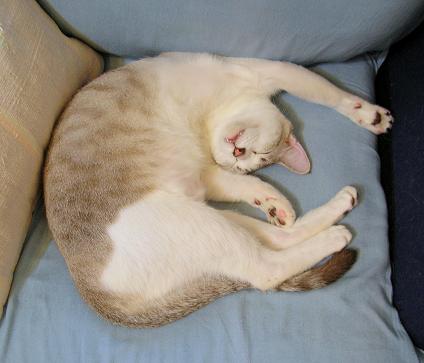 DSCN1239.jpg
