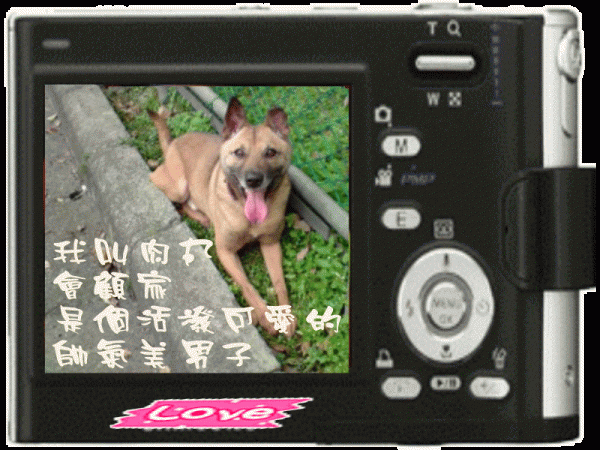 肉丸.gif