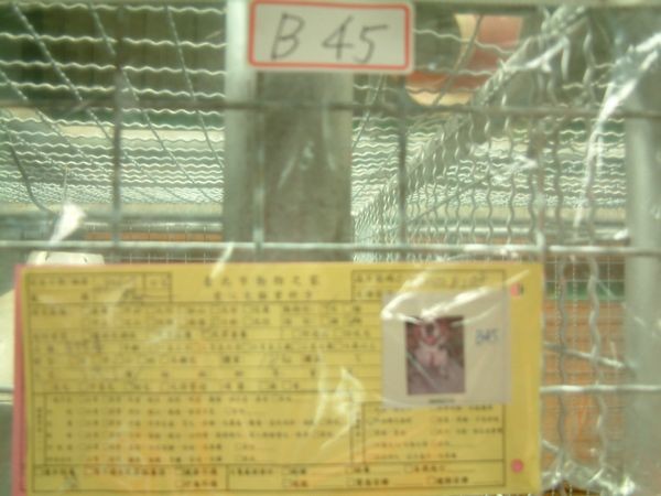 tn_DSCF0018.JPG