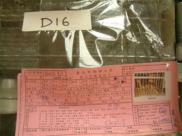 tn_DSCF0086.JPG