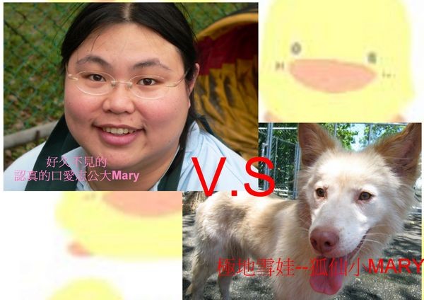 tn_mary.jpg