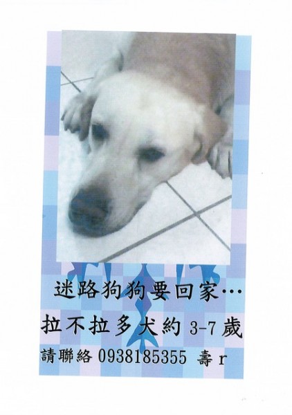 走失的拉拉