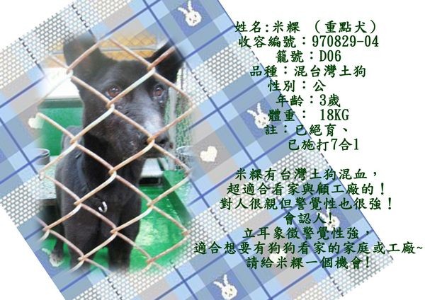 tn_米粿(新).jpg