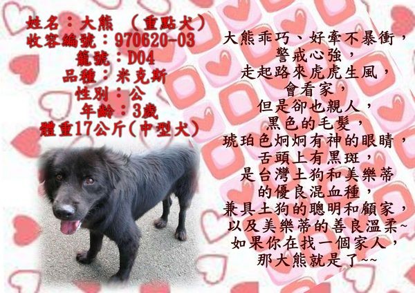 tn_大熊(新).jpg