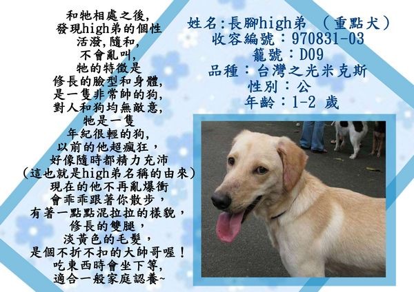 tn_長腳(新).jpg