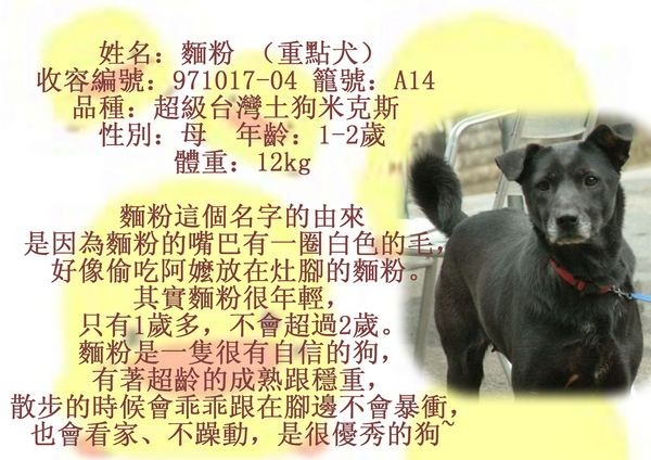 tn_麵粉.jpg