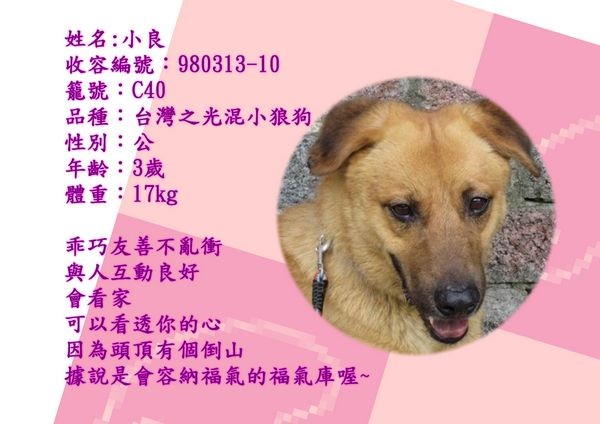 tn_小良.jpg