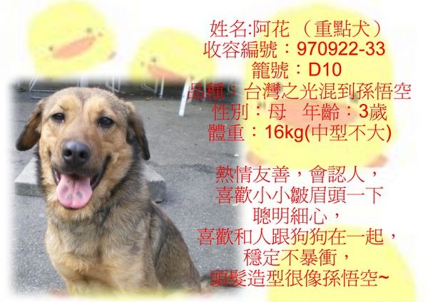 tn_阿花.jpg